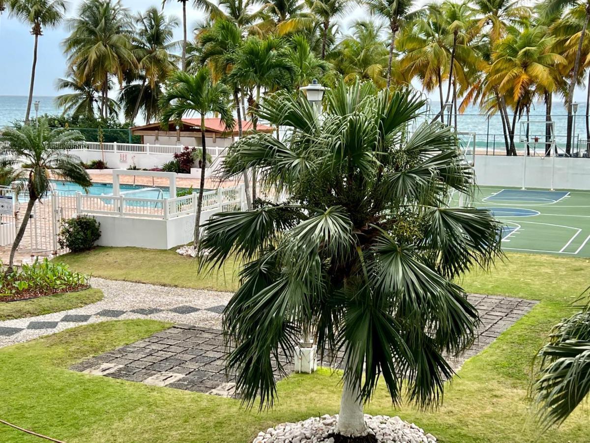 Beachfront Tropical Tantra Apartment San Juan Ngoại thất bức ảnh